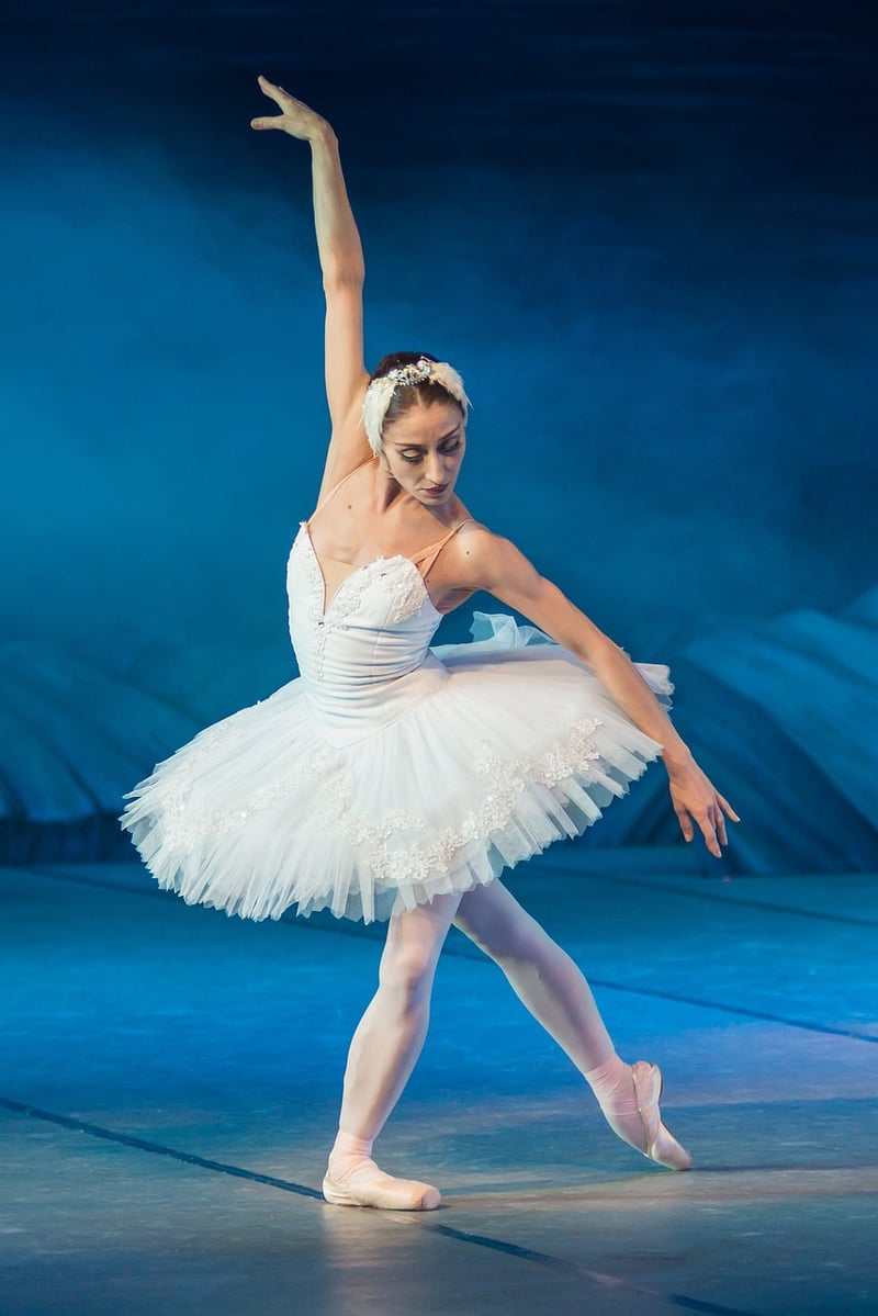Ballet Fusion
